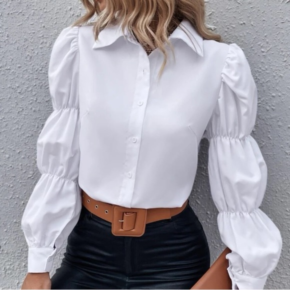 Nwt, Lavishly Paris Women’s Elegantly Casual Puffed Sleeved Button Down Blouse. - Picture 4 of 12